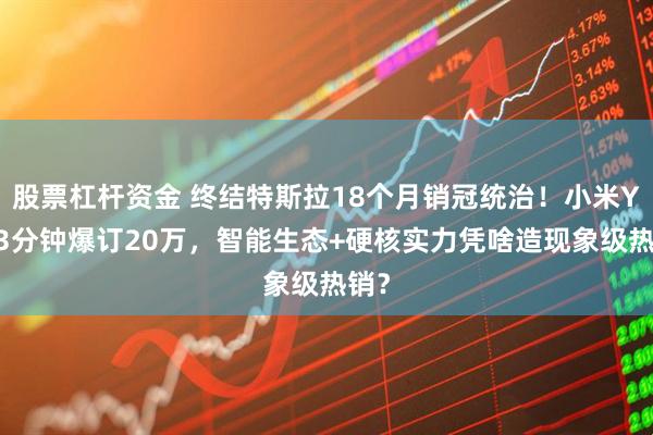 股票杠杆资金 终结特斯拉18个月销冠统治！小米YU73分钟爆订20万，智能生态+硬核实力凭啥造现象级热销？