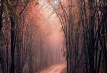 买入门开户怎么股票:网上买卖股票用什么软件-狂买49亿股!险资二季度重仓买了这些 投资者能“抄作业”吗