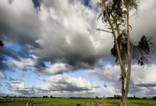 买股票用哪个app好排名:怎么开通杠杆炒股-8月股价涨幅超82%的东芯股份今日复牌 “反路演”引投资者戏称“东伟达”来了