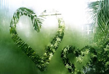 多少钱才能股票开户:线上配资开户论坛-券业收业绩大红包!76家券商半年报全景出炉 自营稳居第一收入