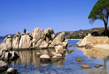 炒股软件怎么看所有股票:手机买股票如何开户-英伟达收盘价跌破50日均线 分析师担忧上涨动能已经见顶